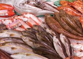 新鮮鮮魚